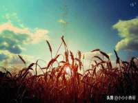 宁夏红晟迪建筑装饰工程有限公司