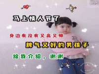 宁夏红晟迪建筑装饰工程有限公司