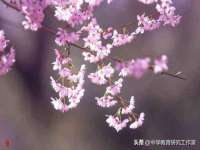 宁夏红晟迪建筑装饰工程有限公司