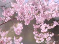 宁夏红晟迪建筑装饰工程有限公司