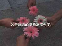宁夏红晟迪建筑装饰工程有限公司