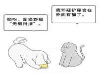 宁夏红晟迪建筑装饰工程有限公司