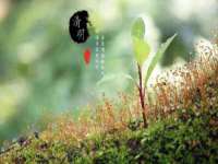 宁夏红晟迪建筑装饰工程有限公司