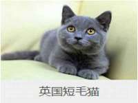 宁夏红晟迪建筑装饰工程有限公司