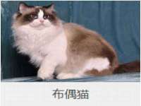 宁夏红晟迪建筑装饰工程有限公司