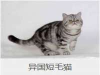 宁夏红晟迪建筑装饰工程有限公司