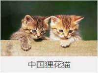 宁夏红晟迪建筑装饰工程有限公司