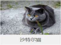 宁夏红晟迪建筑装饰工程有限公司