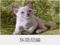 宁夏红晟迪建筑装饰工程有限公司