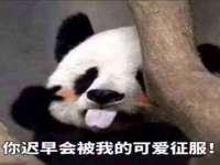 宁夏红晟迪建筑装饰工程有限公司