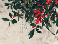 宁夏红晟迪建筑装饰工程有限公司