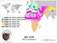 宁夏红晟迪建筑装饰工程有限公司
