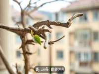 宁夏红晟迪建筑装饰工程有限公司