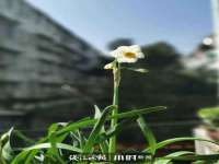 宁夏红晟迪建筑装饰工程有限公司