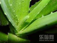 宁夏红晟迪建筑装饰工程有限公司