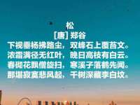 宁夏红晟迪建筑装饰工程有限公司