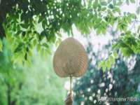 宁夏红晟迪建筑装饰工程有限公司