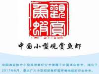 宁夏红晟迪建筑装饰工程有限公司
