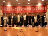 宁夏红晟迪建筑装饰工程有限公司
