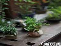 宁夏红晟迪建筑装饰工程有限公司