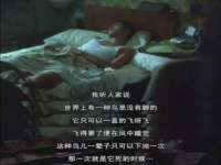 宁夏红晟迪建筑装饰工程有限公司