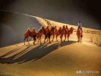 宁夏红晟迪建筑装饰工程有限公司