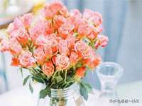 宁夏红晟迪建筑装饰工程有限公司