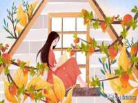 宁夏红晟迪建筑装饰工程有限公司