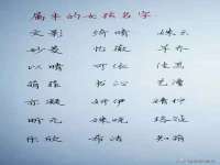 宁夏红晟迪建筑装饰工程有限公司